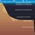 How deep is the ocean? - Epic Diving