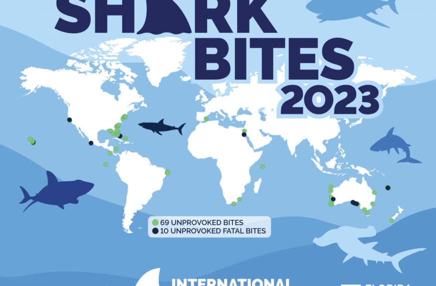 International Shark Attack File: 2023 Summary
